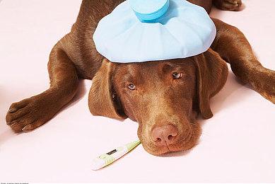 《莱莎的炼金工房3》公开首部宣传影片 中字